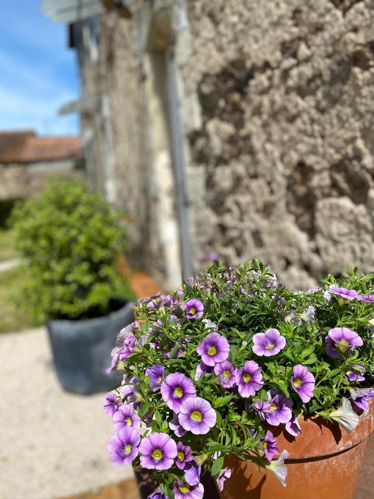 Le Mottay Guesthouse Saint-Pere-en-Retz Buitenkant foto